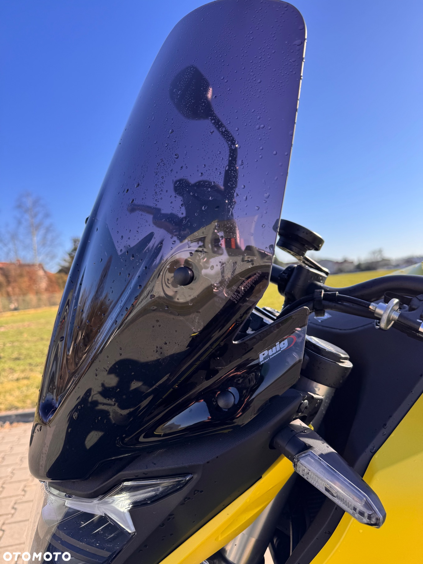 Honda Hornet - 8