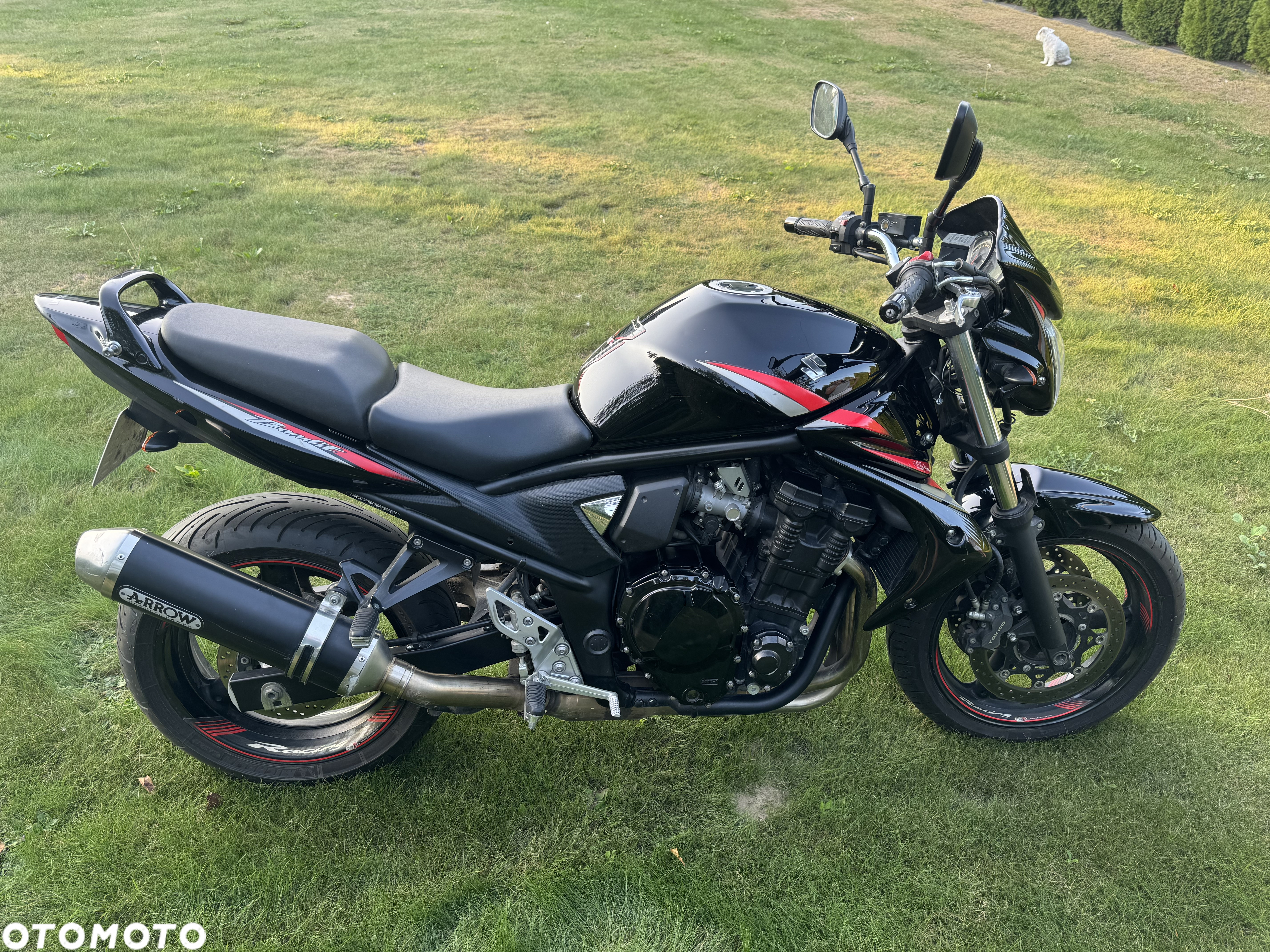 Suzuki Bandit - 3