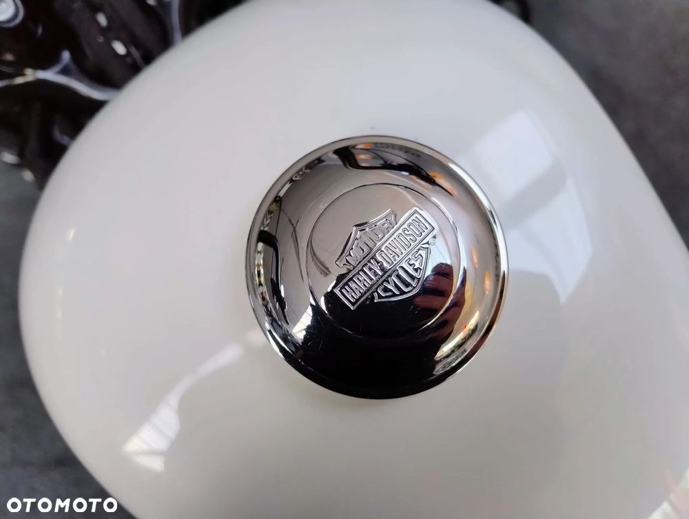 Harley-Davidson Sportster Forty-Eight - 19