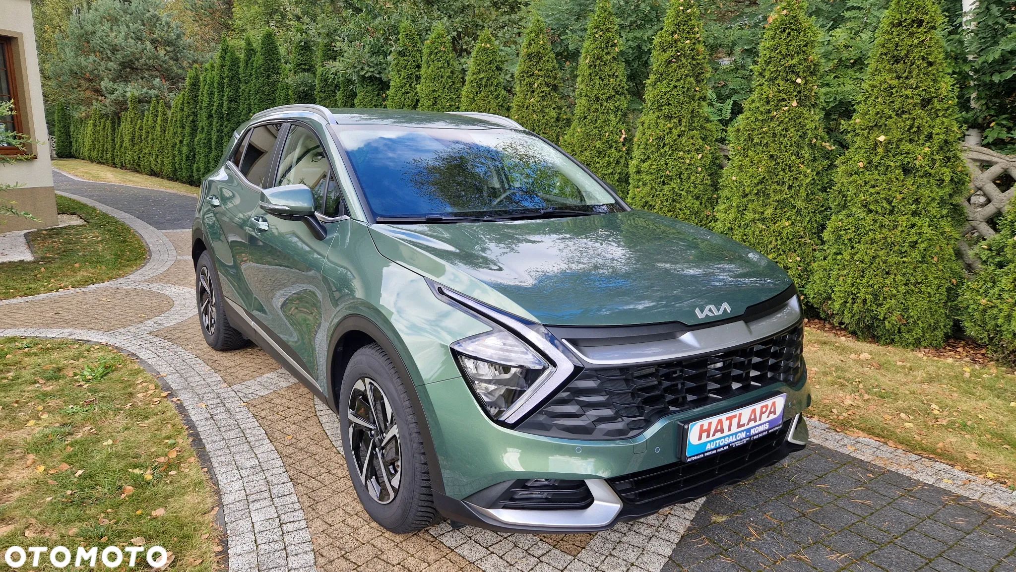 Kia Sportage 1.6 CRDI MHEV Business Line 4WD DCT - 1