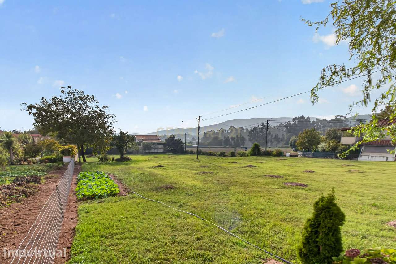 TerrenoTerreno de Construção em Alvito S. Martinho - Grande imagem: 5/13