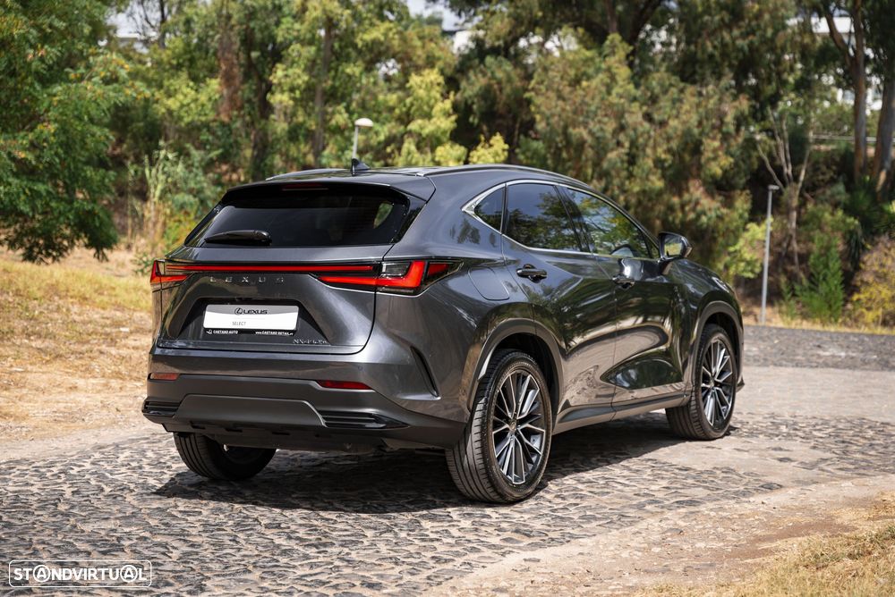 Lexus NX 450h+ - 5