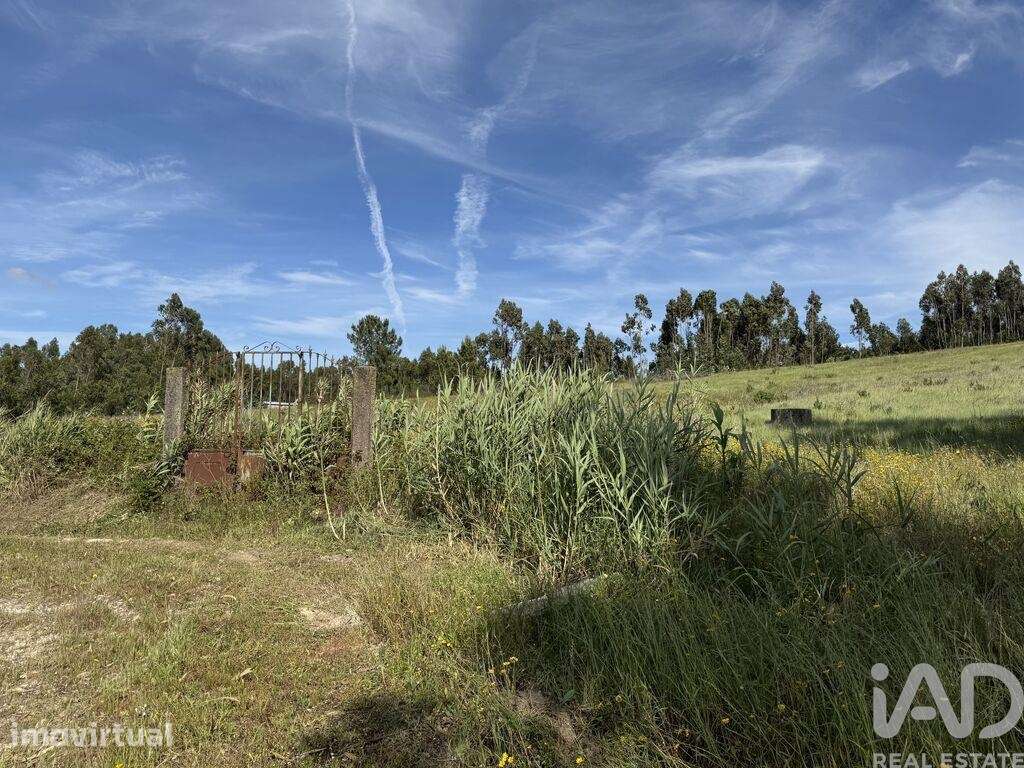 Terreno Agrícola em Olhalvo - Grande imagem: 2/24