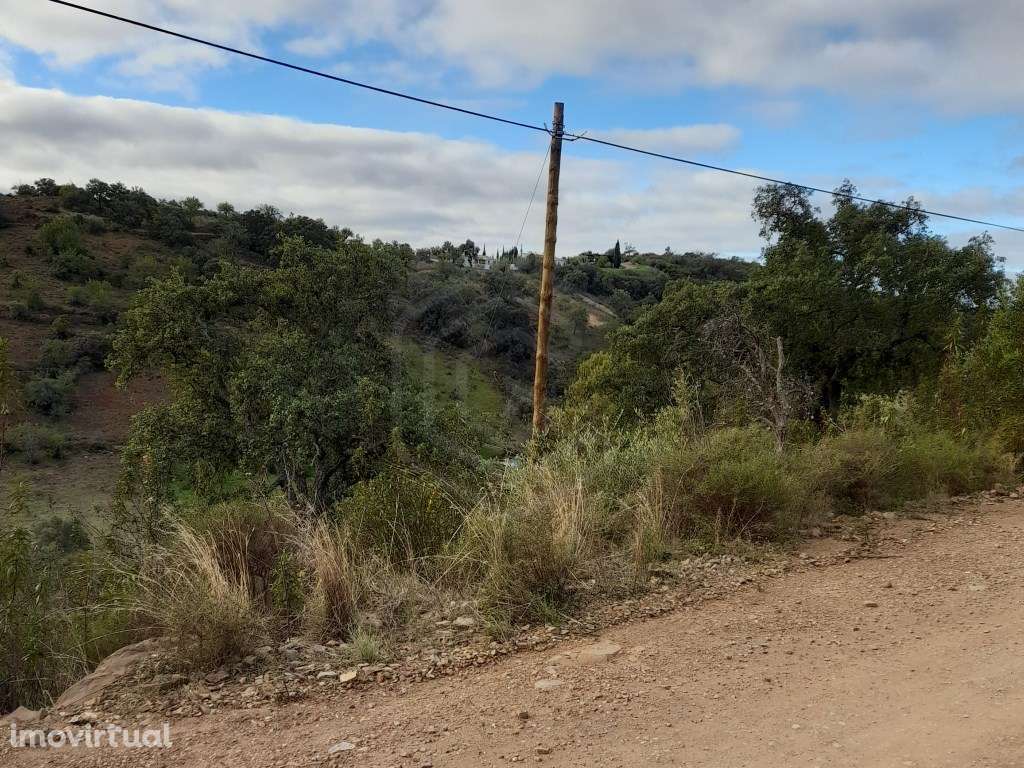 Terreno com ruína, Santa Catarina da Fonte do Bispo, Tavira, Algarve - Grande imagem: 5/11