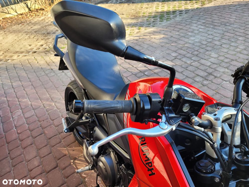 Triumph Tiger - 14