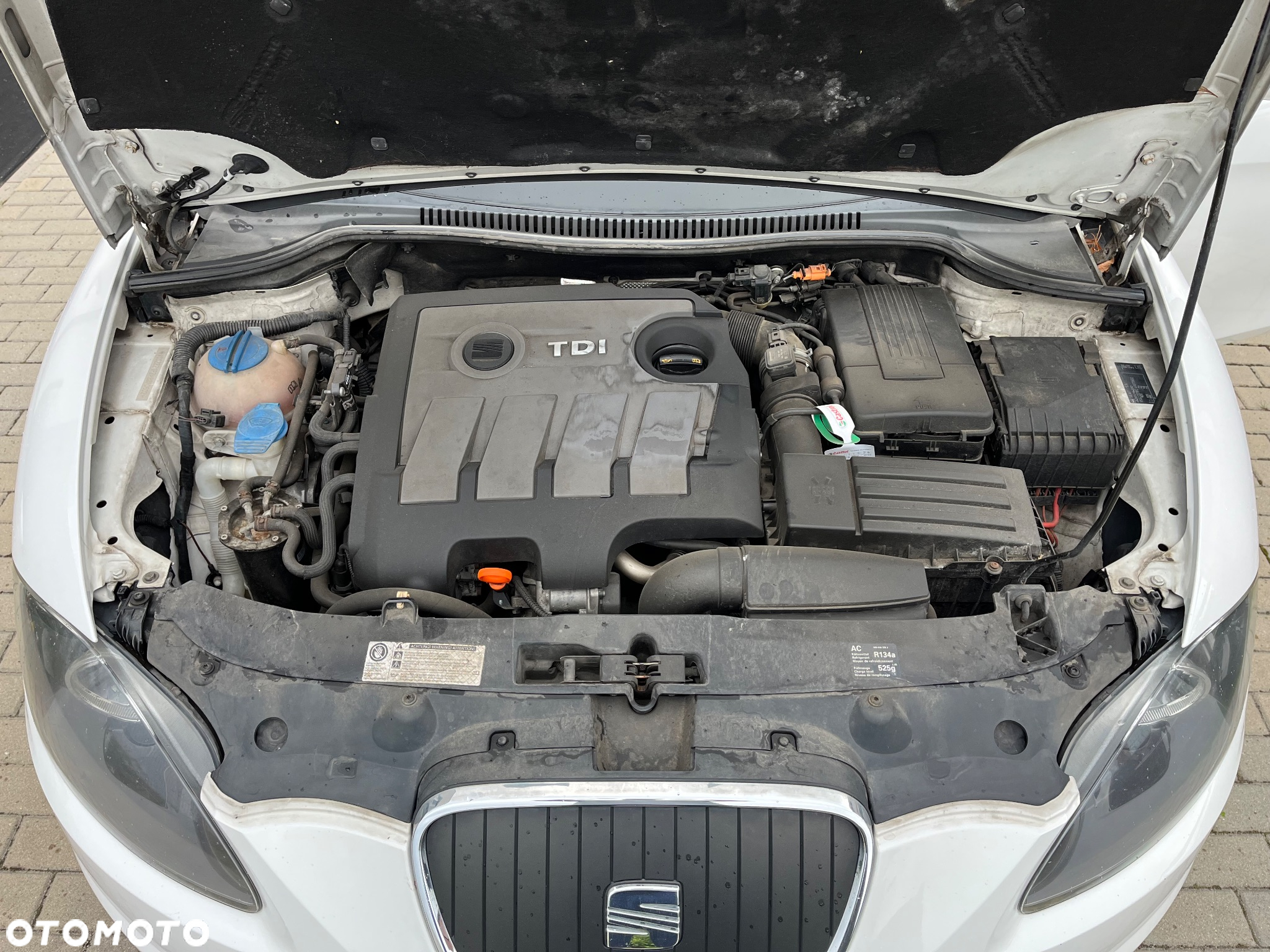 Seat Leon 1.6 TDI DPF E-Ecomotive Style - 21