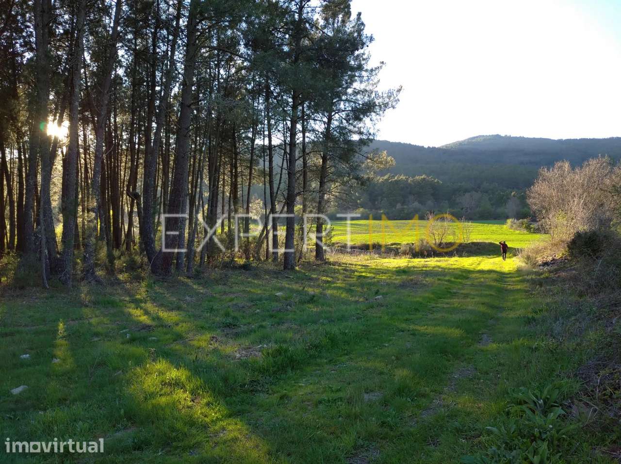 TERRENO AGRÍCOLA, plano, orografia regular, abundância de água e... - Grande imagem: 5/30