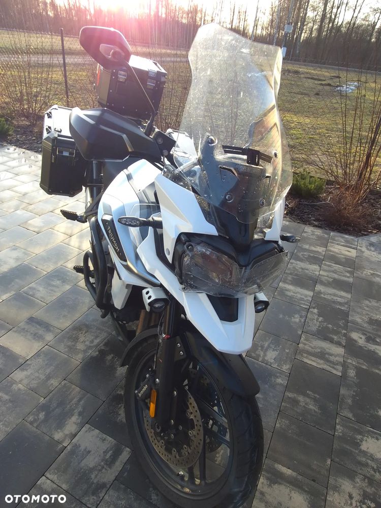 Triumph Tiger - 16