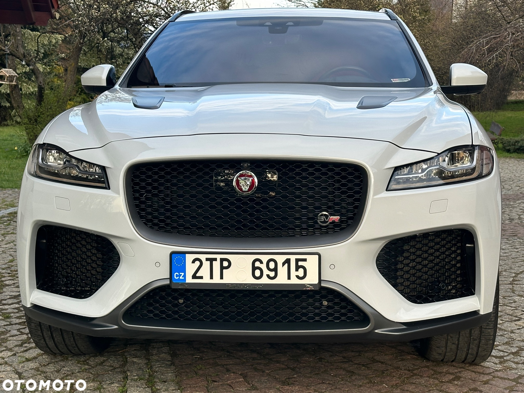 Jaguar F-Pace 5.0 V8 P550 AWD SVR - 3