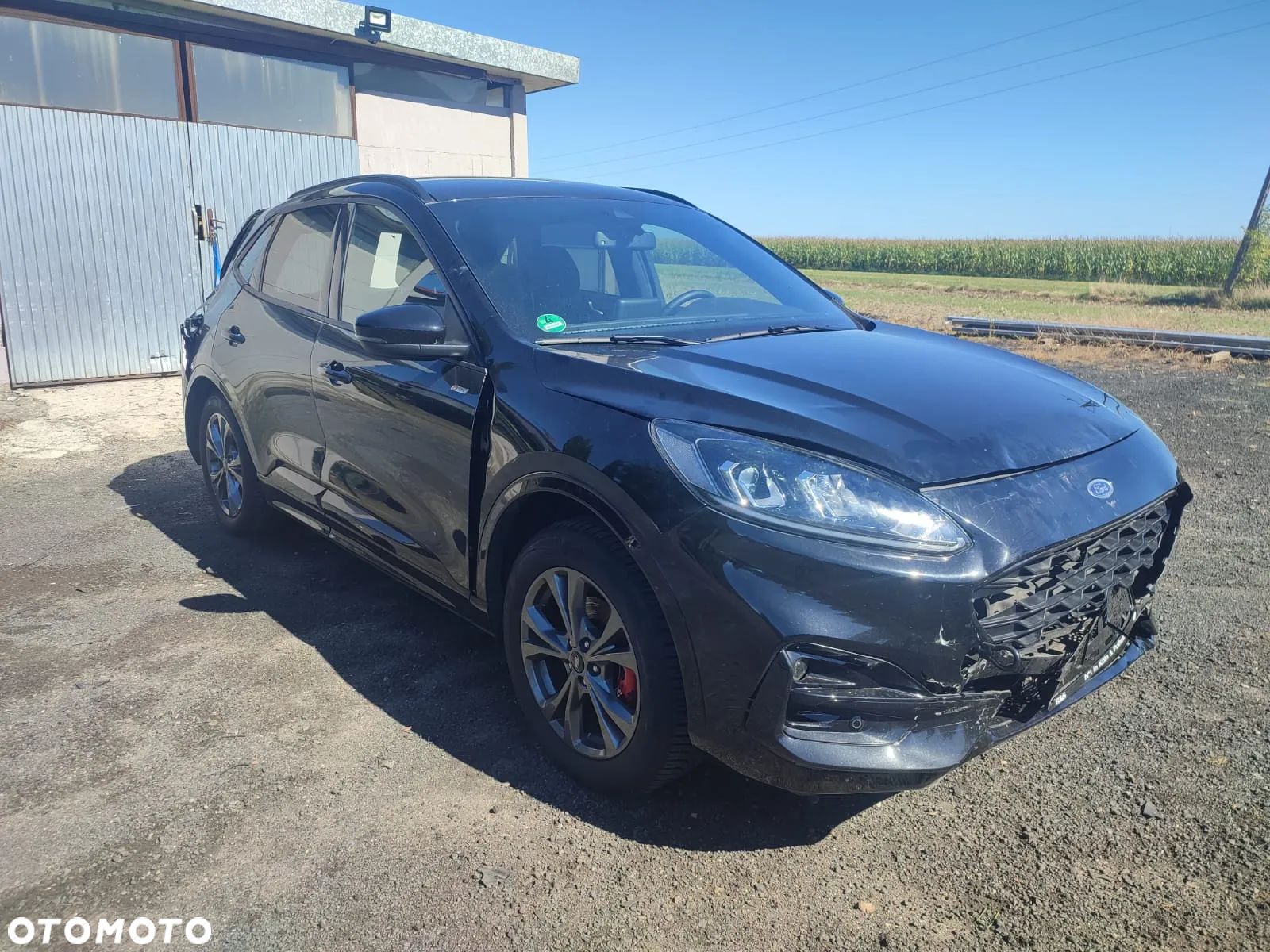 Ford Kuga - 1