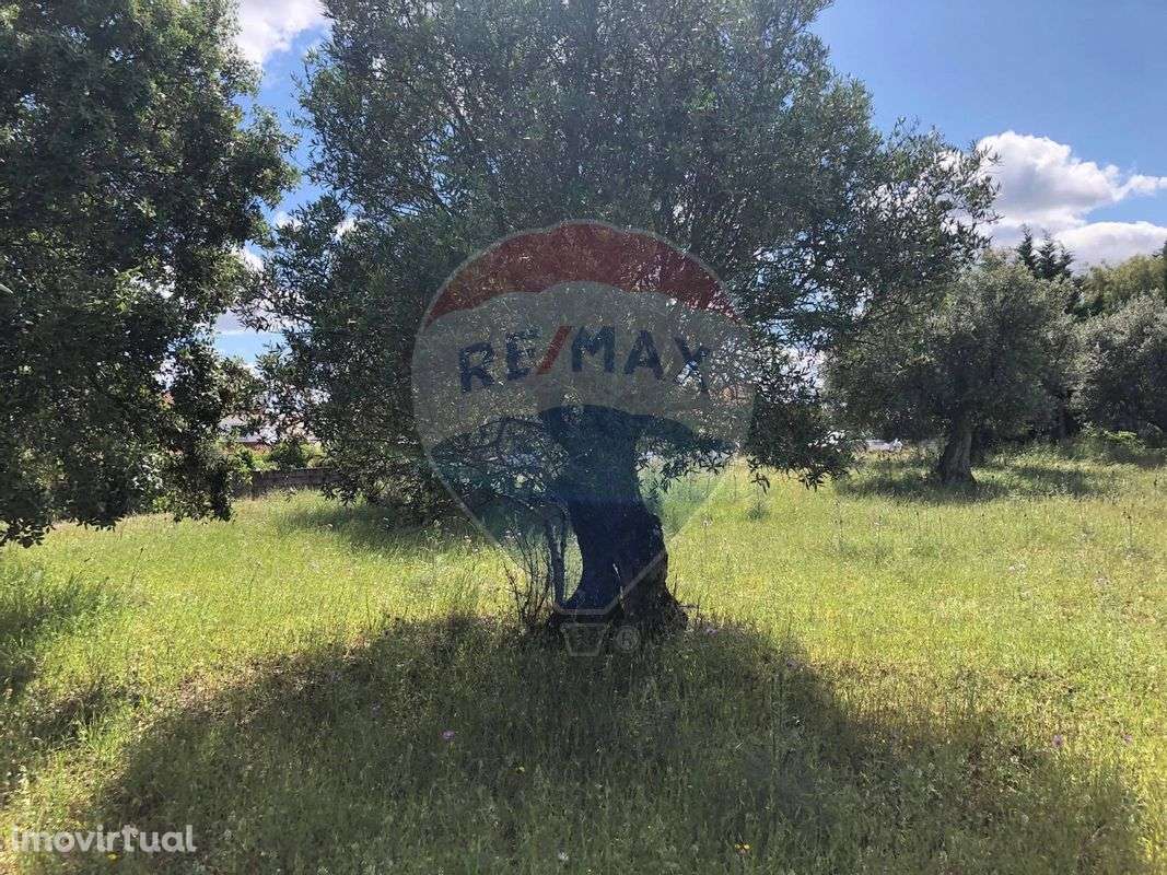 Terreno  para venda - Grande imagem: 3/8