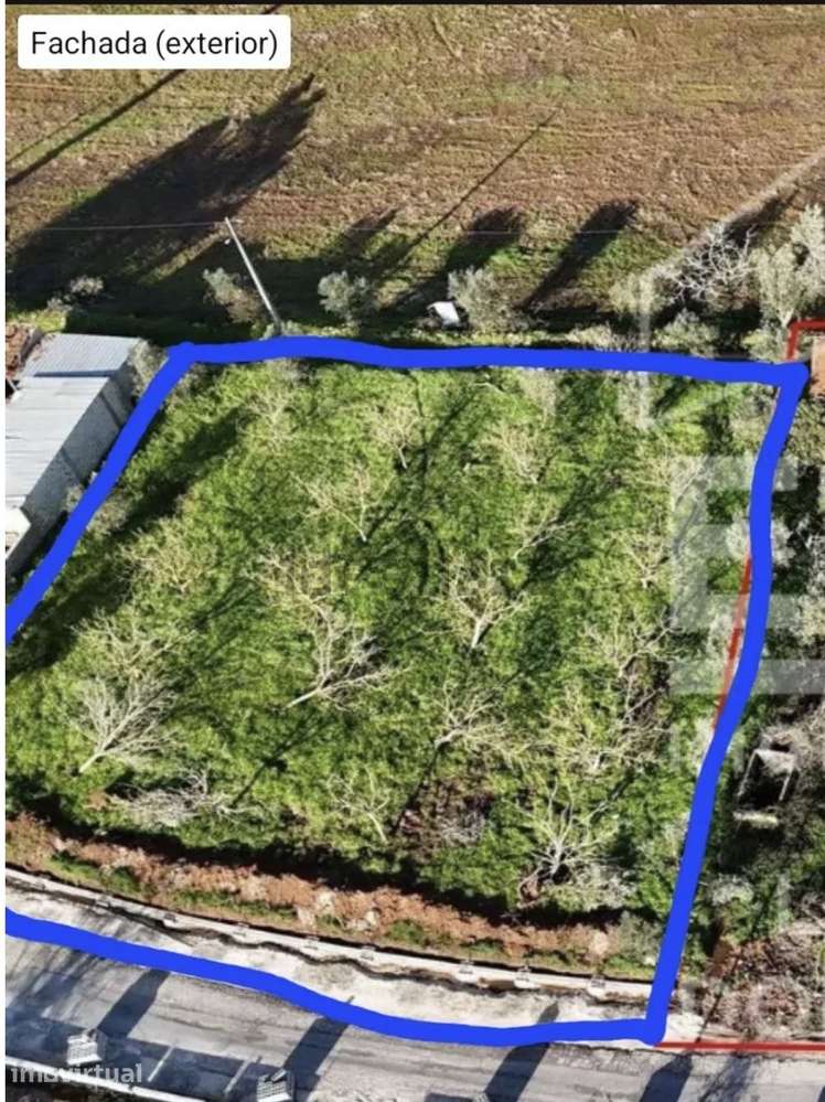 Terreno em Sandoeira - Pussos são Pedro - Grande imagem: 3/7