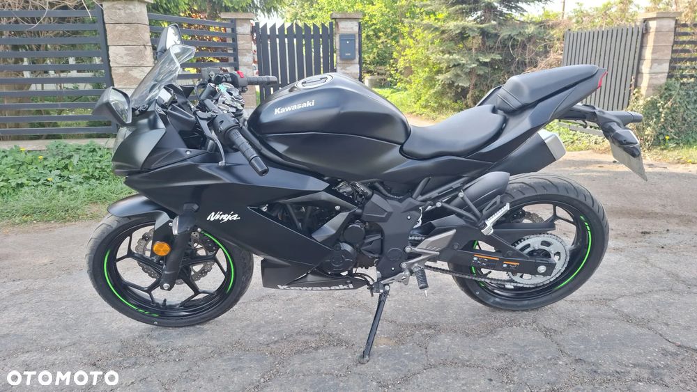 Kawasaki Ninja - 13