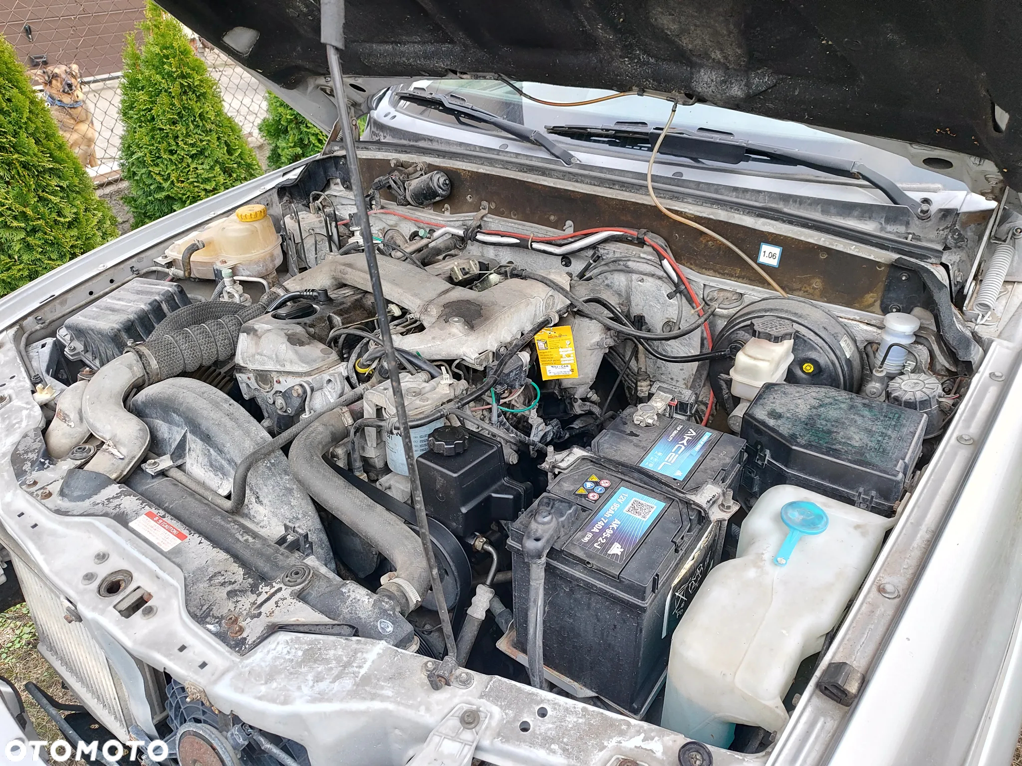 SsangYong/KGM Musso Sports - 7