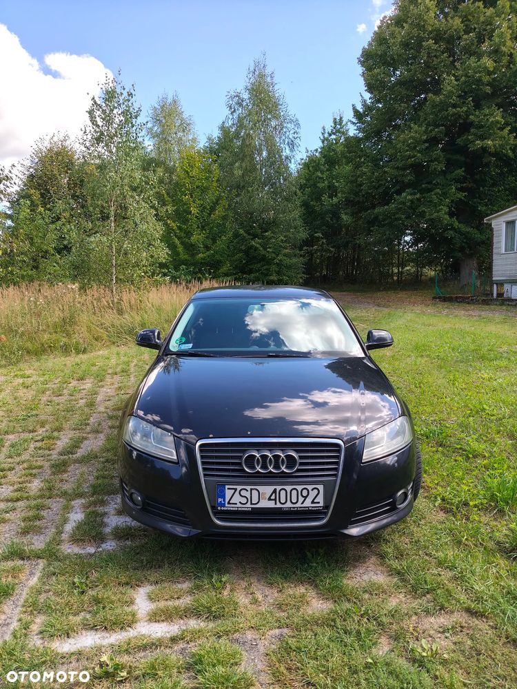 Audi A3 3-drzwiowe 2.0 TDI Ambition - 2