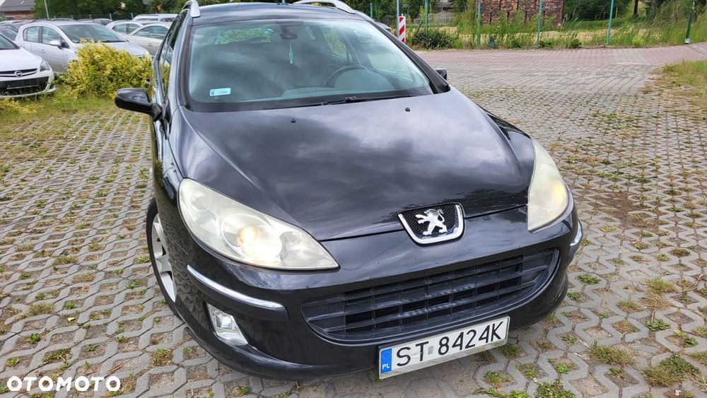 Peugeot 407 - 22