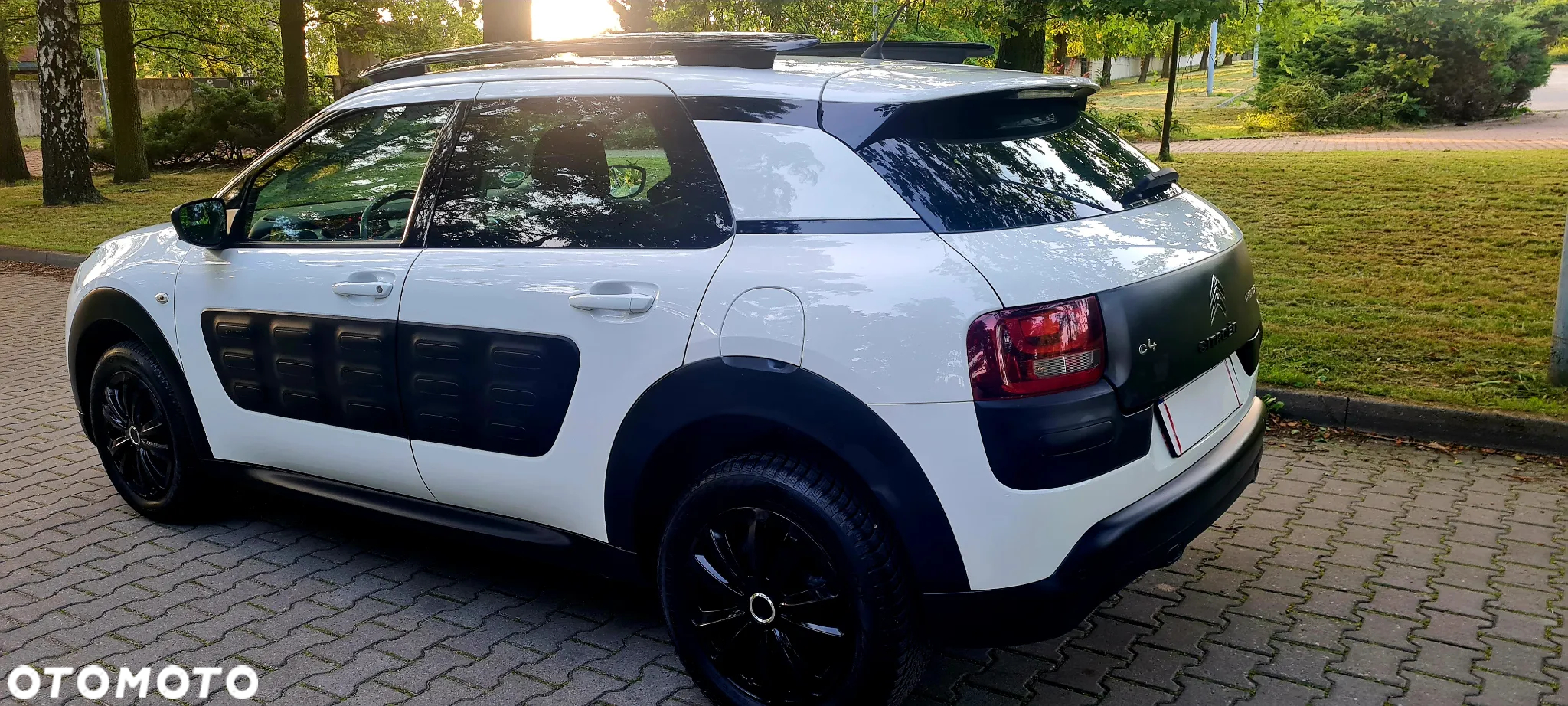 Citroën C4 Cactus 1.2 PureTech GPF Shine Pack S&S - 10