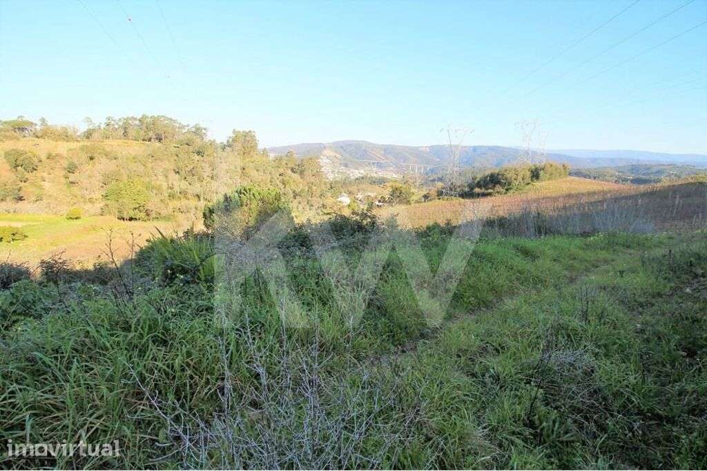 Terreno Rústico | 4850m2 | Marco dos Pereiros | Coimbra - Grande imagem: 5/12