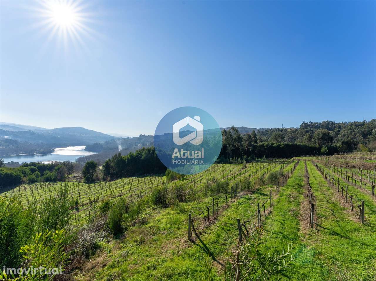 Quinta  Venda em Abragão,Penafiel - Grande imagem: 3/10