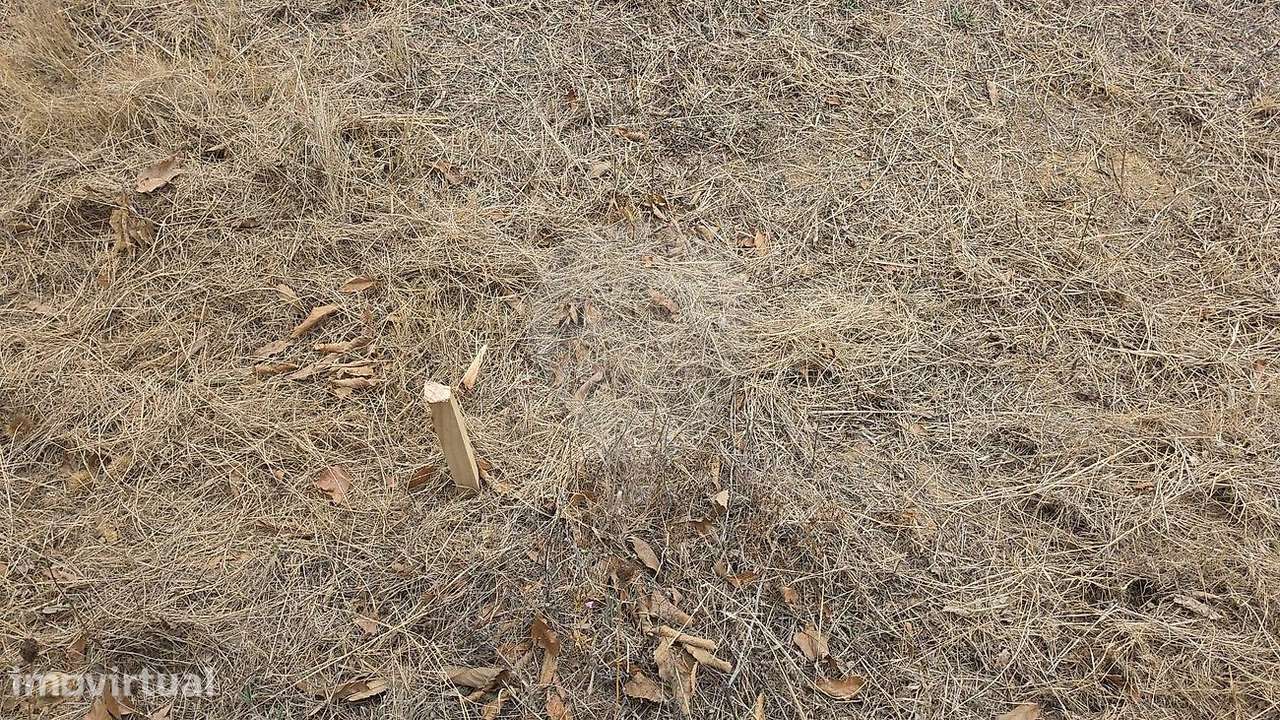 Terreno  para venda - Grande imagem: 3/3