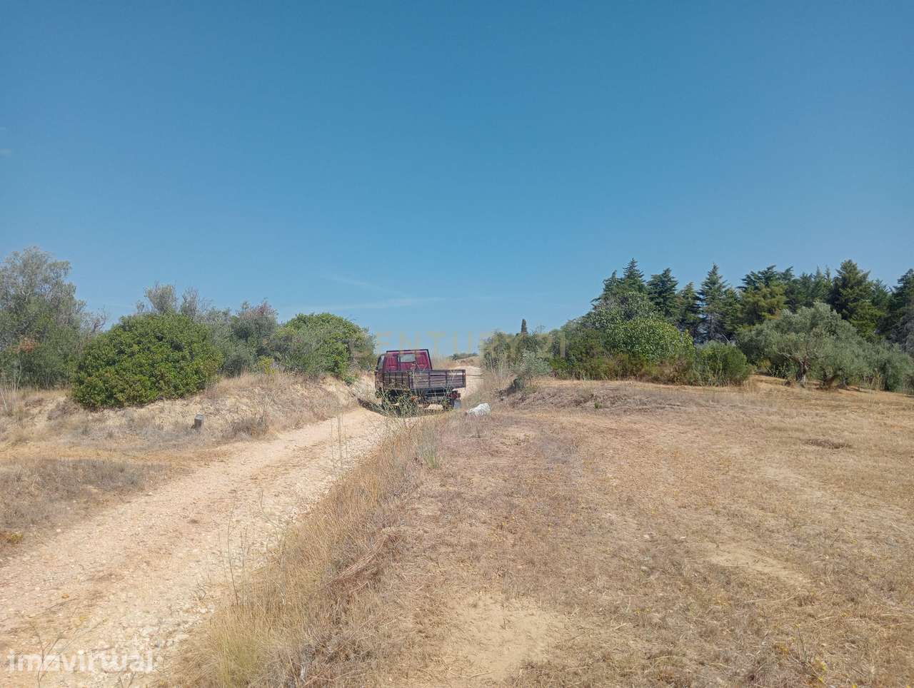Terreno Agrícola em Brogueira, Torres Novas - 13640m² - Grande imagem: 4/10