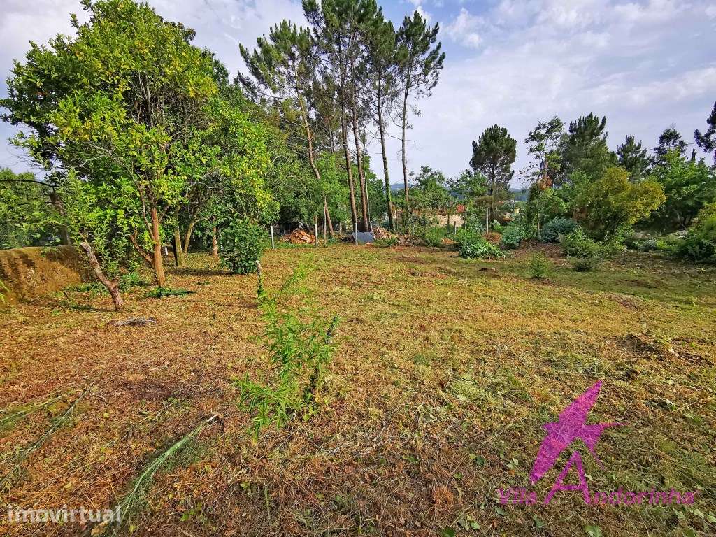 Terreno para Construção em Serreleis - Excelente Localização e Expo... - Grande imagem: 5/7