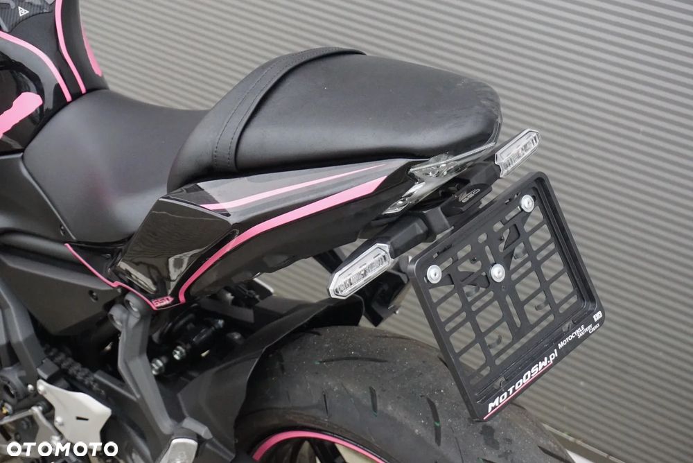 Kawasaki Ninja - 17