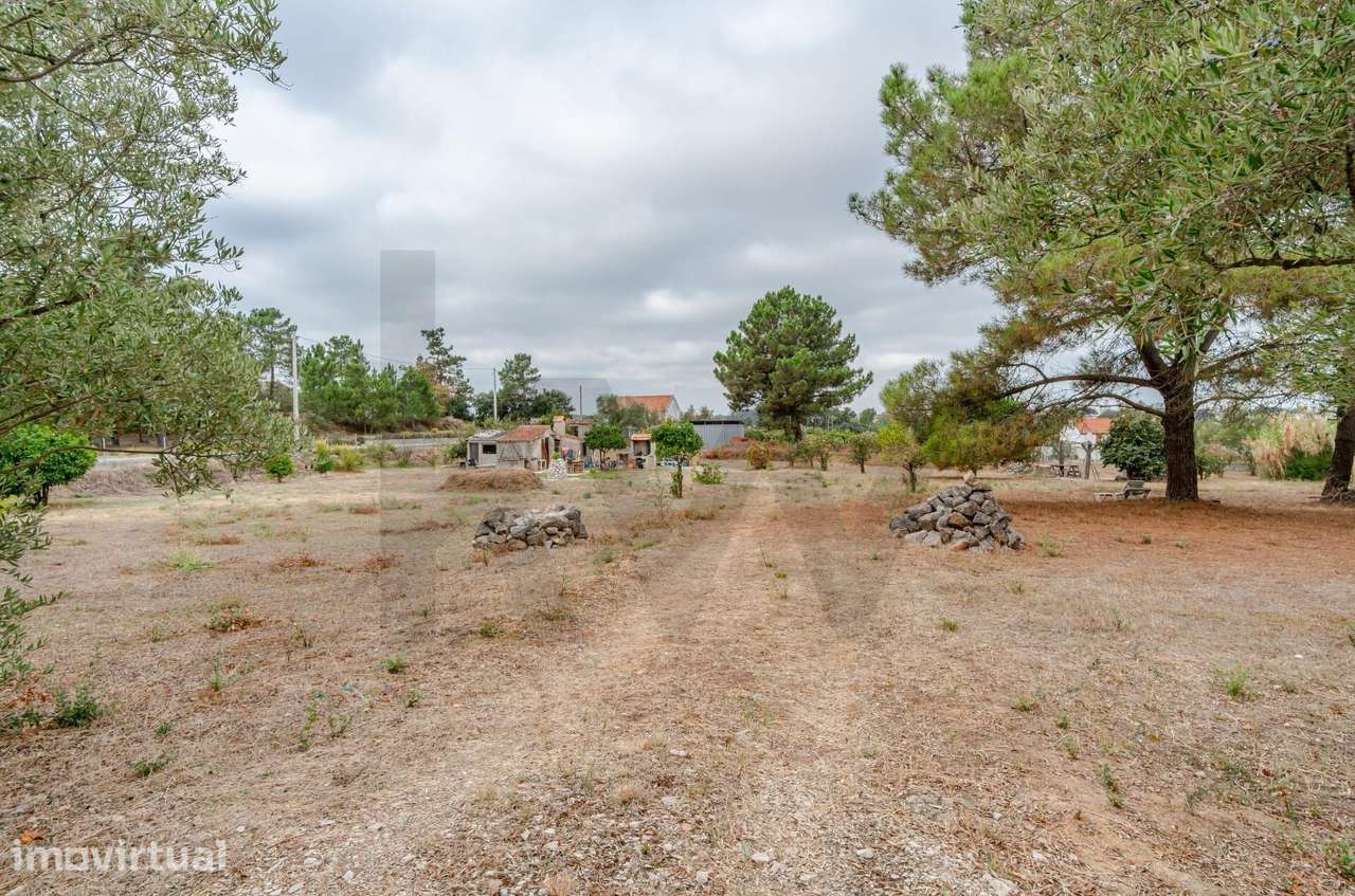 Terreno Urbano para Construção - Barreiro - Grande imagem: 3/25