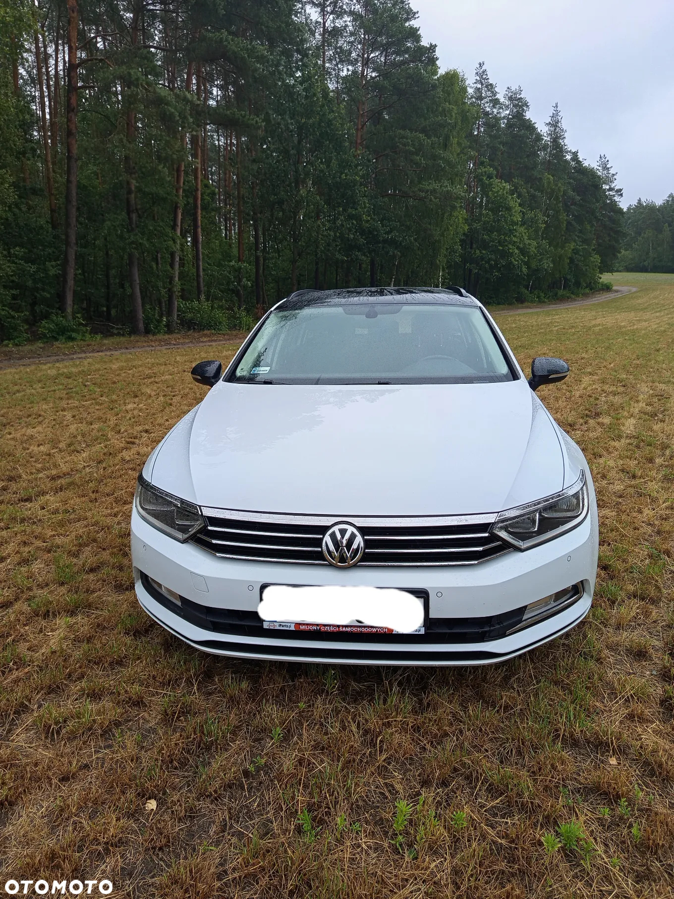 Volkswagen Passat - 3