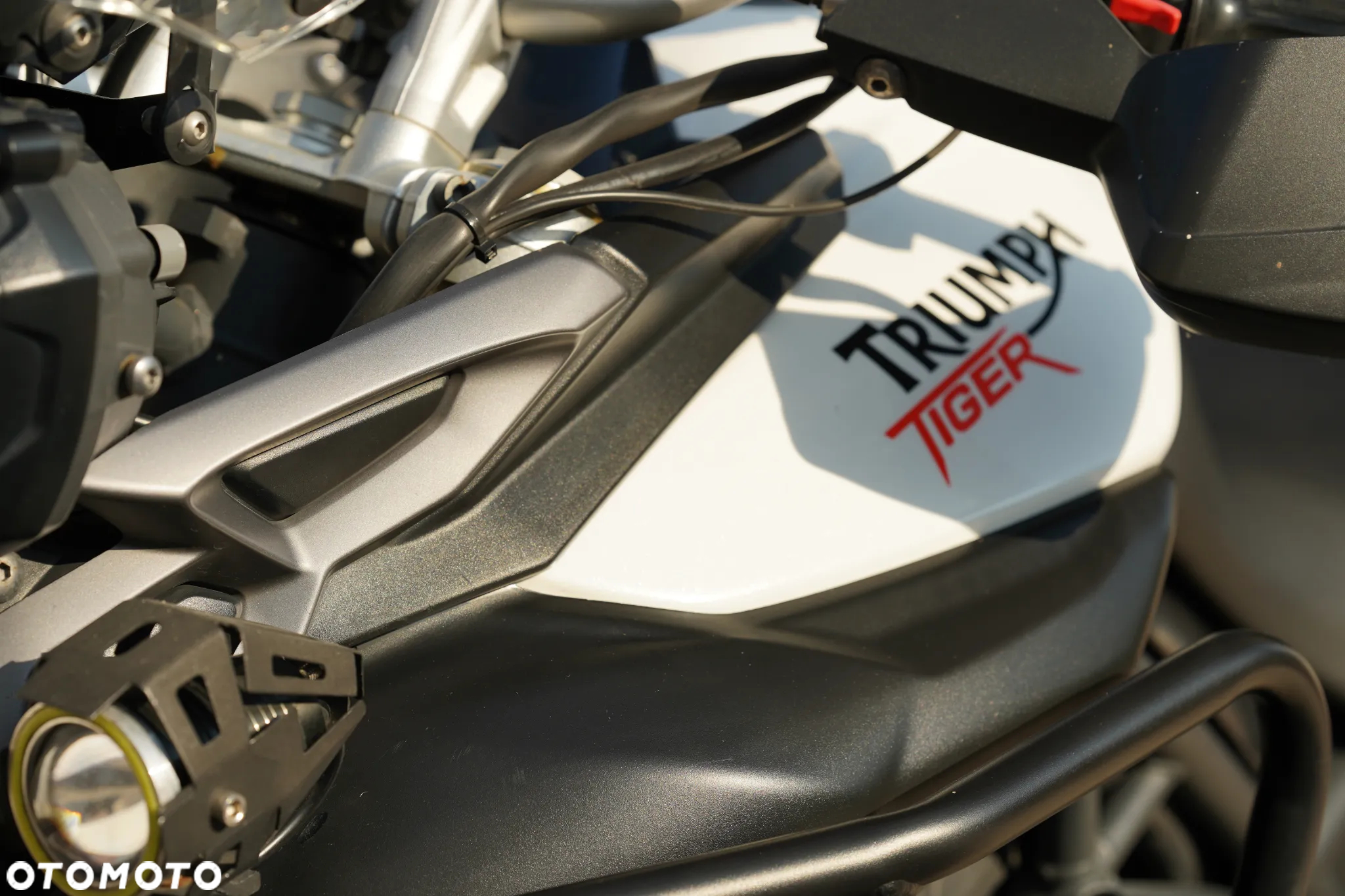 Triumph Tiger - 18