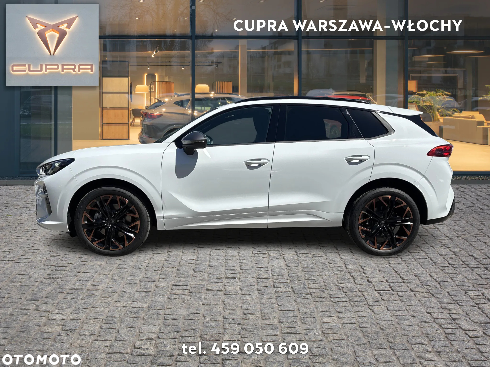 Cupra Terramar 2.0 TSI 4Drive DSG - 2