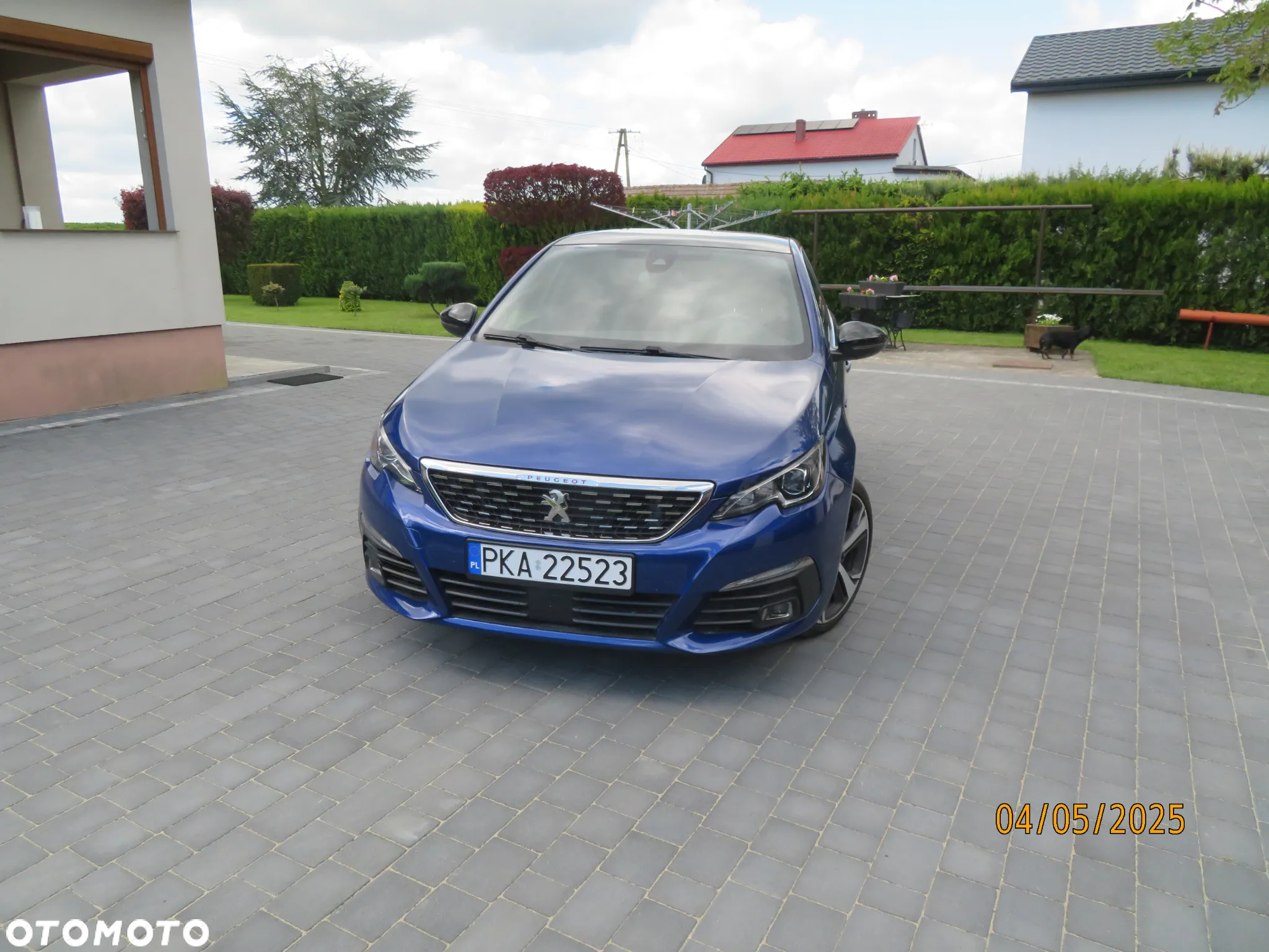 Peugeot 308 1.5 BlueHDi GT Pack S&S EAT8 - 2