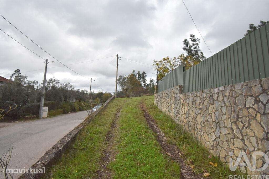 Moradia térrea T1 em São Miguel, Santa Eufémia e Rabaçal de 231 m2 - Grande imagem: 5/40