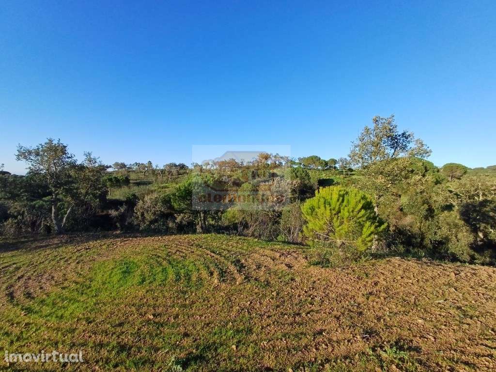 Pronto a construir - PROJECTO APROVADO e vista mar - Grande imagem: 4/18