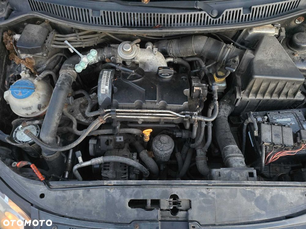 Volkswagen Polo - 8