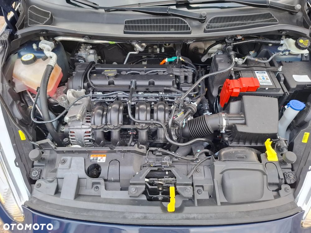 Ford Fiesta 1.25 Celebration - 7
