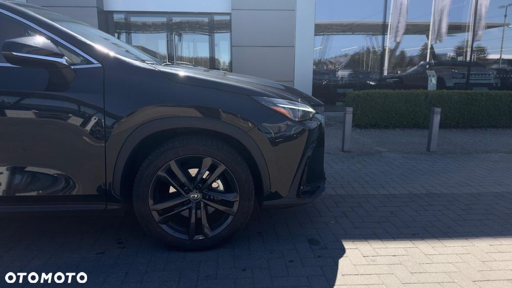 Lexus NX - 18
