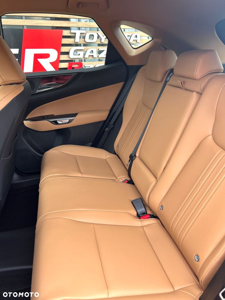 Lexus NX - 25