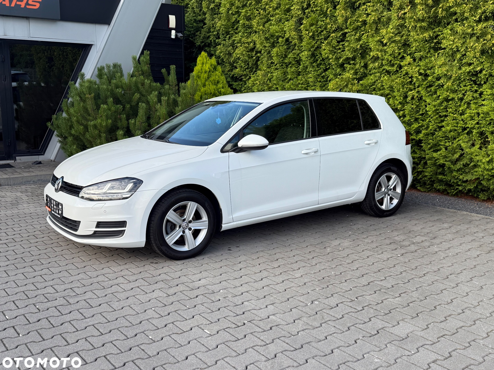 Volkswagen Golf - 15