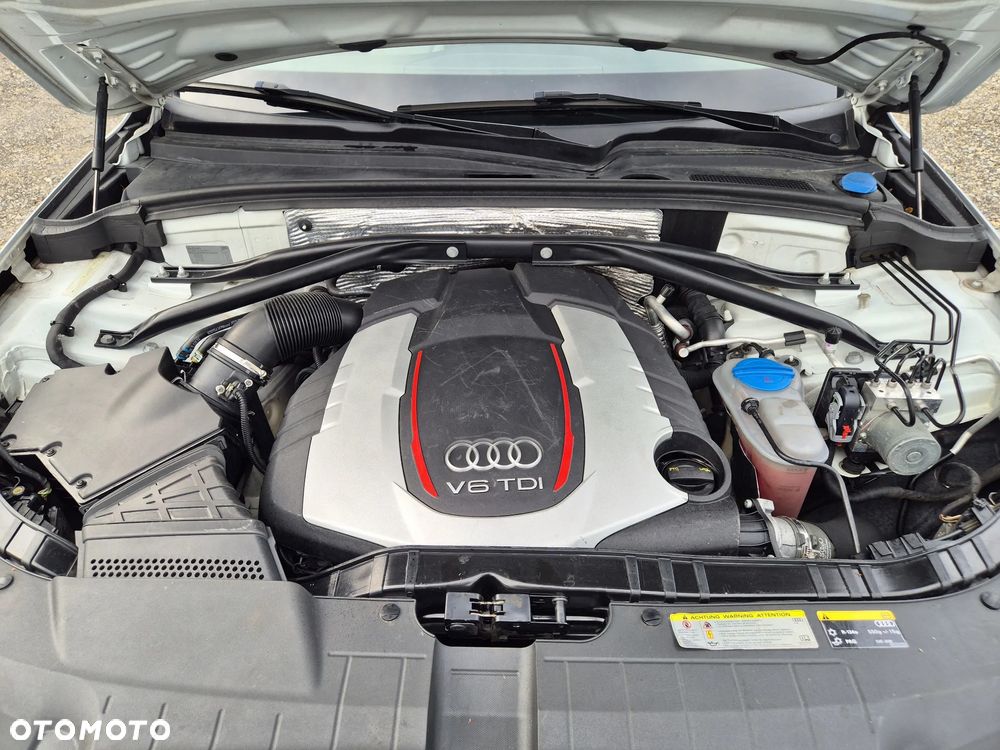 Audi SQ5 - 35