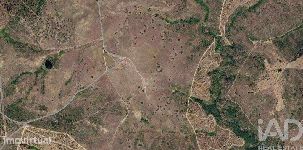 Terreno Agrícola em Perais - Grande imagem: 5/5