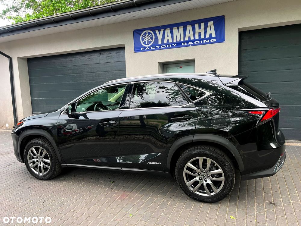 Lexus NX 300h Elegance + Business AWD - 4