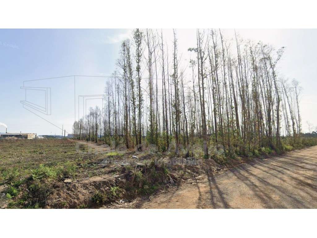 Terreno com 7.338 m² na Zona Industrial de Albergaria a Velha - Grande imagem: 4/7