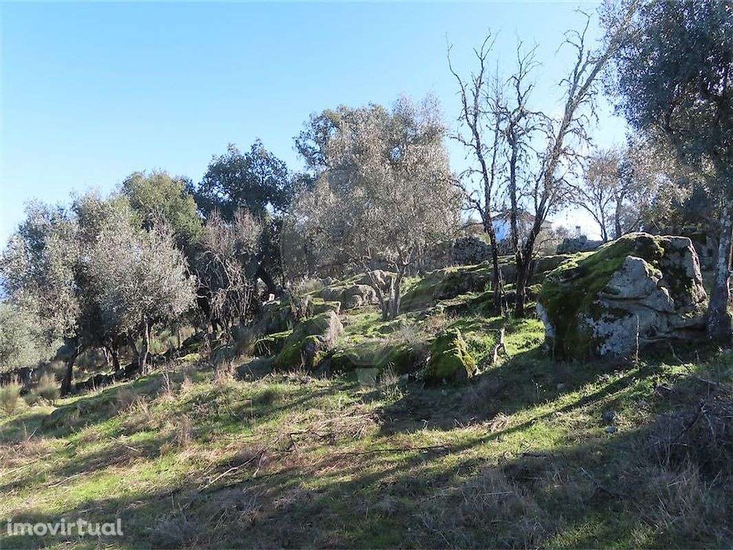 Quinta  para venda - Grande imagem: 3/13