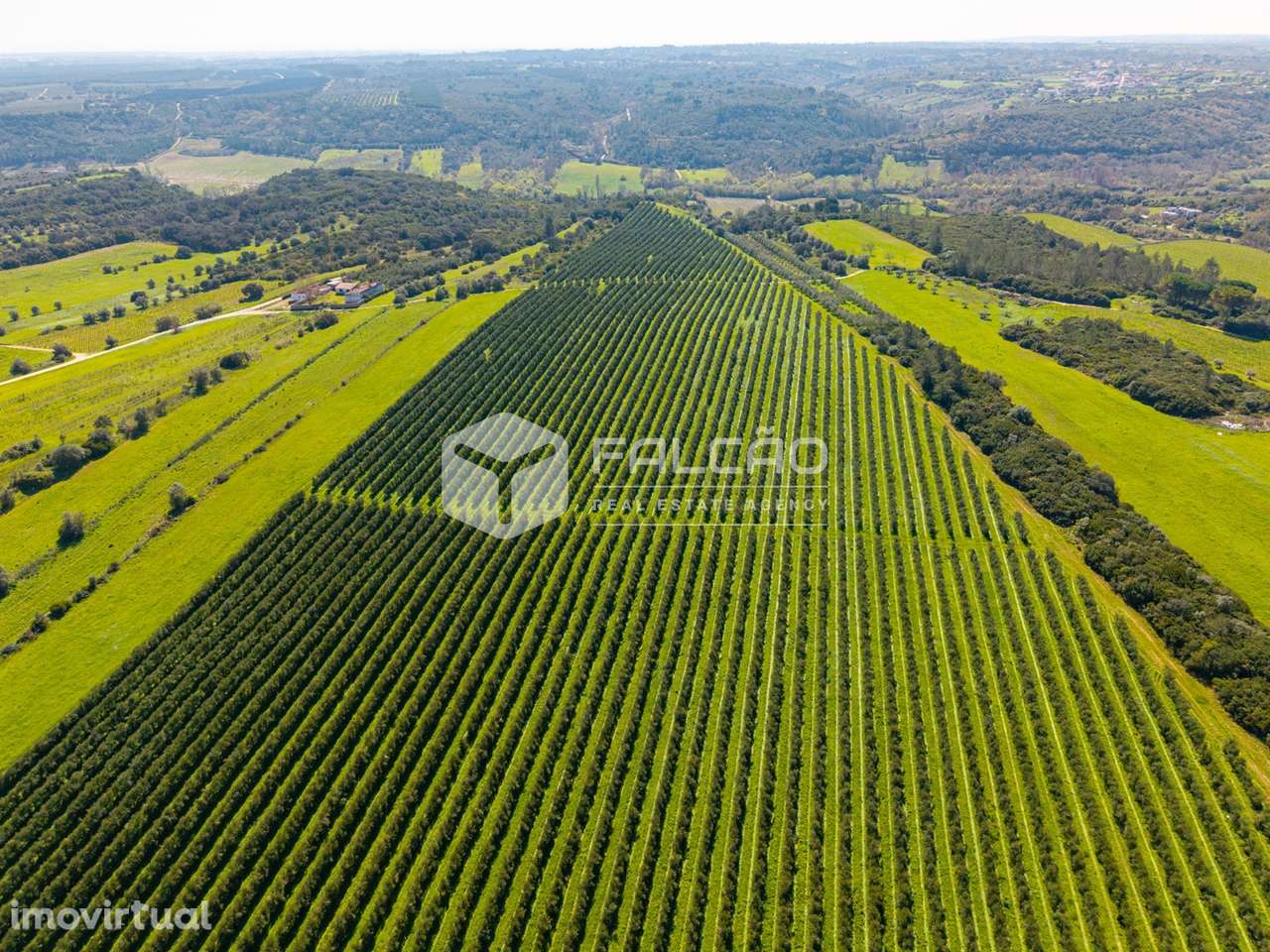Terreno Rústico  Venda em Almoster,Santarém - Grande imagem: 3/29