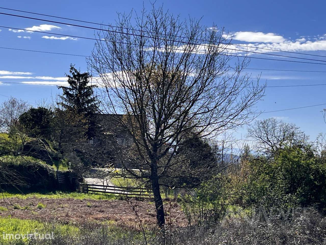 Lote de Terreno  Venda em Rio de Loba,Viseu - Grande imagem: 5/8