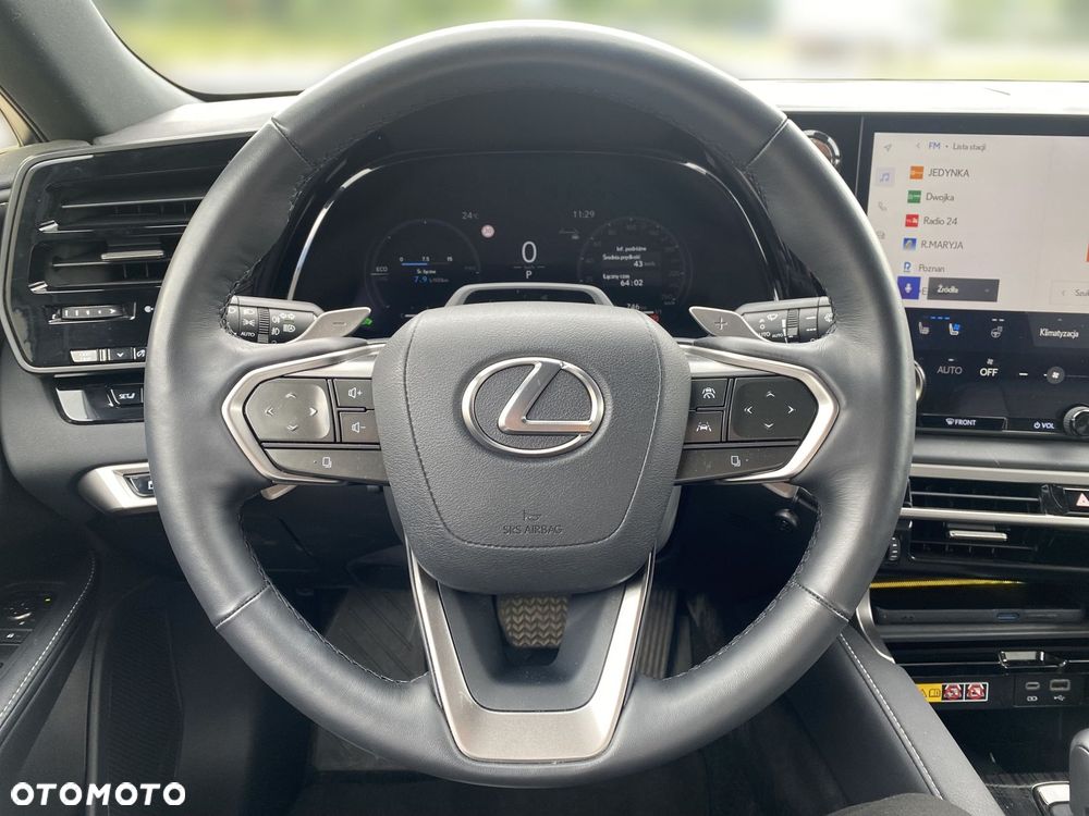 Lexus RX - 19