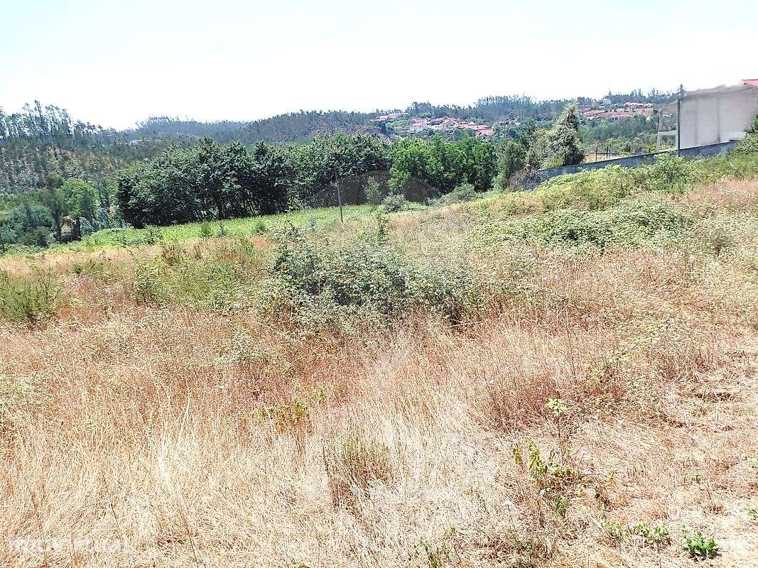 Terreno  para venda - Grande imagem: 3/5