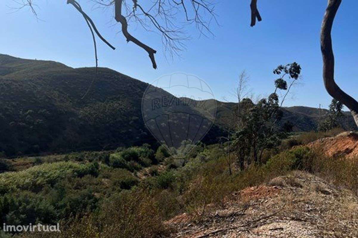 Terreno  para venda - Grande imagem: 3/6