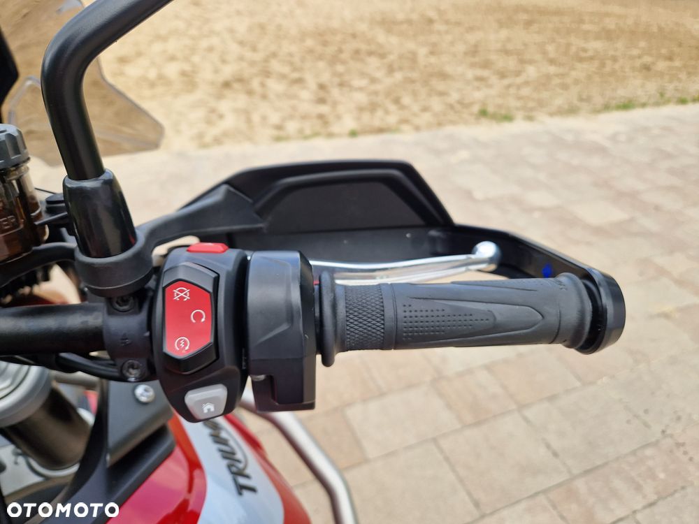 Triumph Tiger - 19